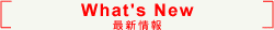 what's new�@�ŐV���